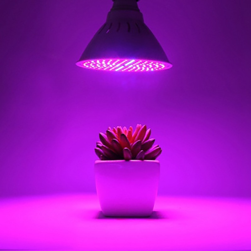 لامپ مخصوص رشد گیاه